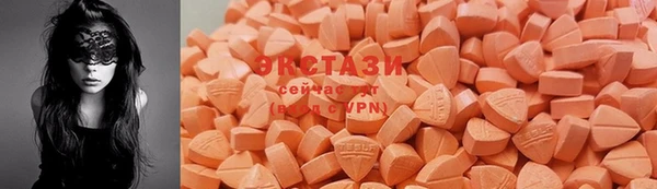 прущие грибы Алзамай