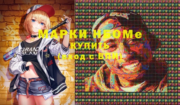 прущие грибы Алзамай