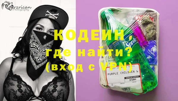 прущие грибы Алзамай