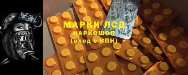 прущие грибы Алзамай