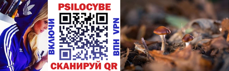 где найти   Ейск  Псилоцибиновые грибы Psilocybine cubensis 